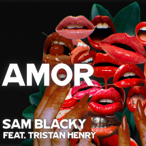 ดาวน์โหลดและฟังเพลง Amor (feat. Tristan Henry) พร้อมเนื้อเพลงจาก Sam Blacky