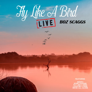 Listen to Fly Like A Bird (Live) song with lyrics from Boz Scaggs