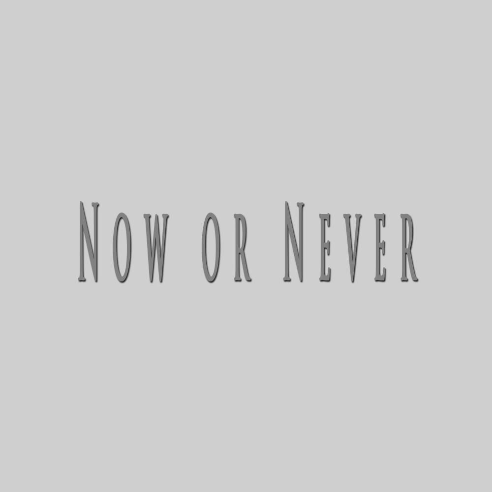 Now or Never (feat. PJC)