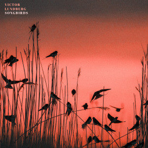 Songbirds dari Victor Lundberg