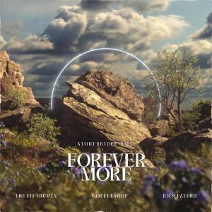Listen to Forever More(StoneBridge Remix) song with lyrics from The FifthGuys