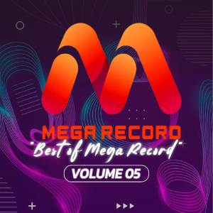 Various Artists的專輯Best of Mega Record Vol. 5