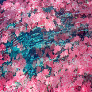 Album Recollection 2. from Zyon Langley