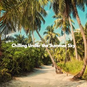 Album Chilling Under the Summer Sky from Musik Zum Lesen