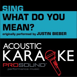 What Do You Mean (Originally Performed by Justin Bieber) [Female Karaoke Version]
