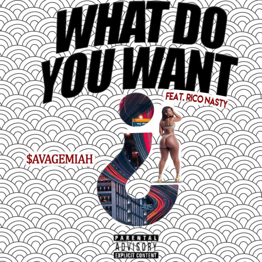 What Do You Want (feat. Rico Nasty) (Explicit) (其他)