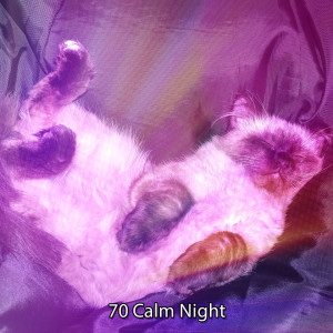 Album 70 Calm Night oleh Rest & Relax Nature Sounds Artists