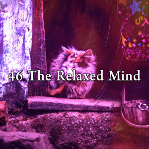 收聽Nature Sound Series的Clearing the Mind歌詞歌曲