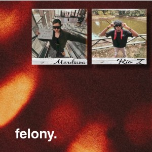 Mardiana的專輯Felony