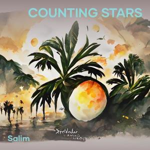 Album Counting Stars oleh Salim