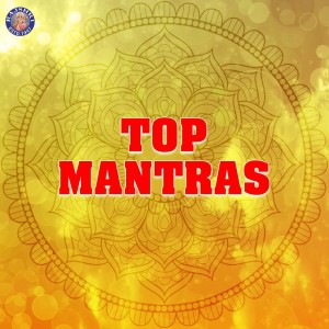 ดาวน์โหลดและฟังเพลง Lakshmi Gayatri Mantra พร้อมเนื้อเพลงจาก Rajalakshmee Sanjay