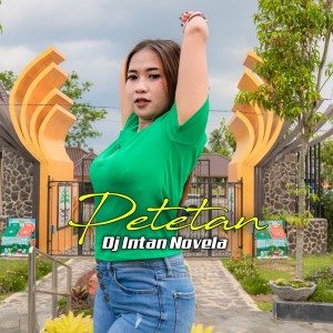 收听DJ Intan Novela的Petetan歌词歌曲