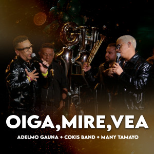 Listen to Oíga, Mire, Vea (En Vivo) song with lyrics from Adelmo Gauna