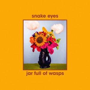 Album jar full of wasps from Snake Eyes