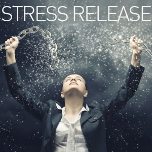 ดาวน์โหลดและฟังเพลง Ambient Spaces (Cool Down with Bird & Nature Sounds) พร้อมเนื้อเพลงจาก Yoga Tribe