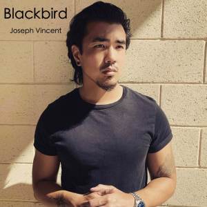 Joseph Vincent的专辑Blackbird