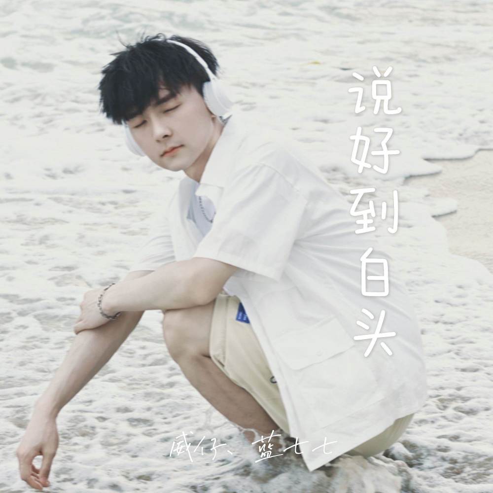 说好到白头 (伴奏)