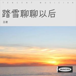 Listen to 踏雪聊聊以后 (完整版) song with lyrics from 王君