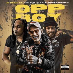 Vee tha Rula的專輯Opp Boy (feat. Vee Tha Rula & MrGetTheBag) [Radio Edit] [Explicit]