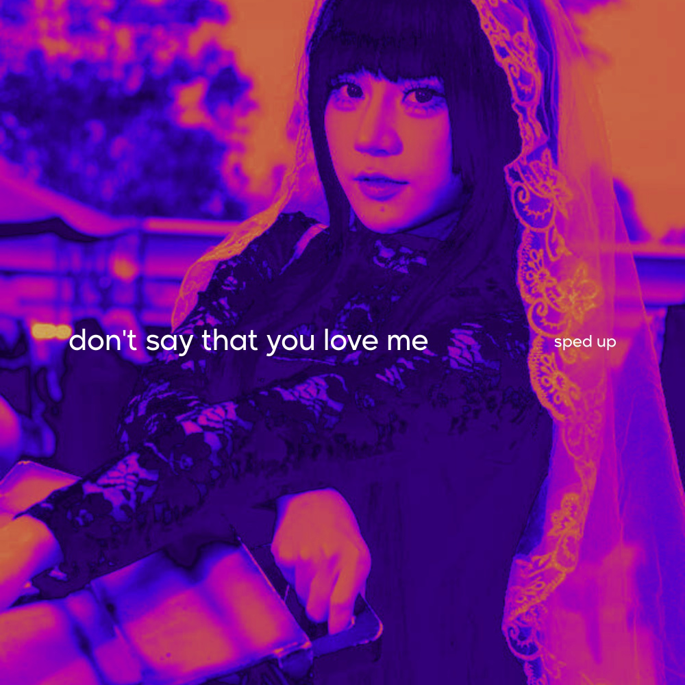 don't say that you love me (sped up)