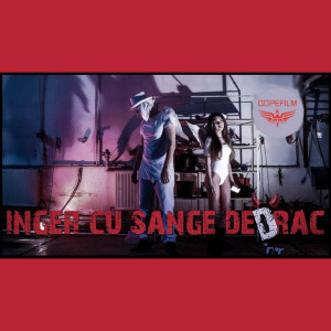 收听Bibanu MixXL的Înger Cu Sânge De Drac歌词歌曲