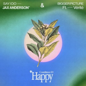 Album HAPPY: Bigger Picture / Say I Do (Explicit) from Jax Anderson