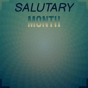 Various Artists的專輯Salutary Month