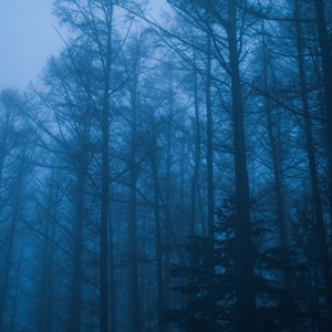 Listen to I don't feel anything (Sped Up) song with lyrics from KALXSH