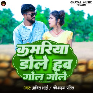 Listen to KAMARIYA DOLE HAW GOL GOLE song with lyrics from Ajit Bhai