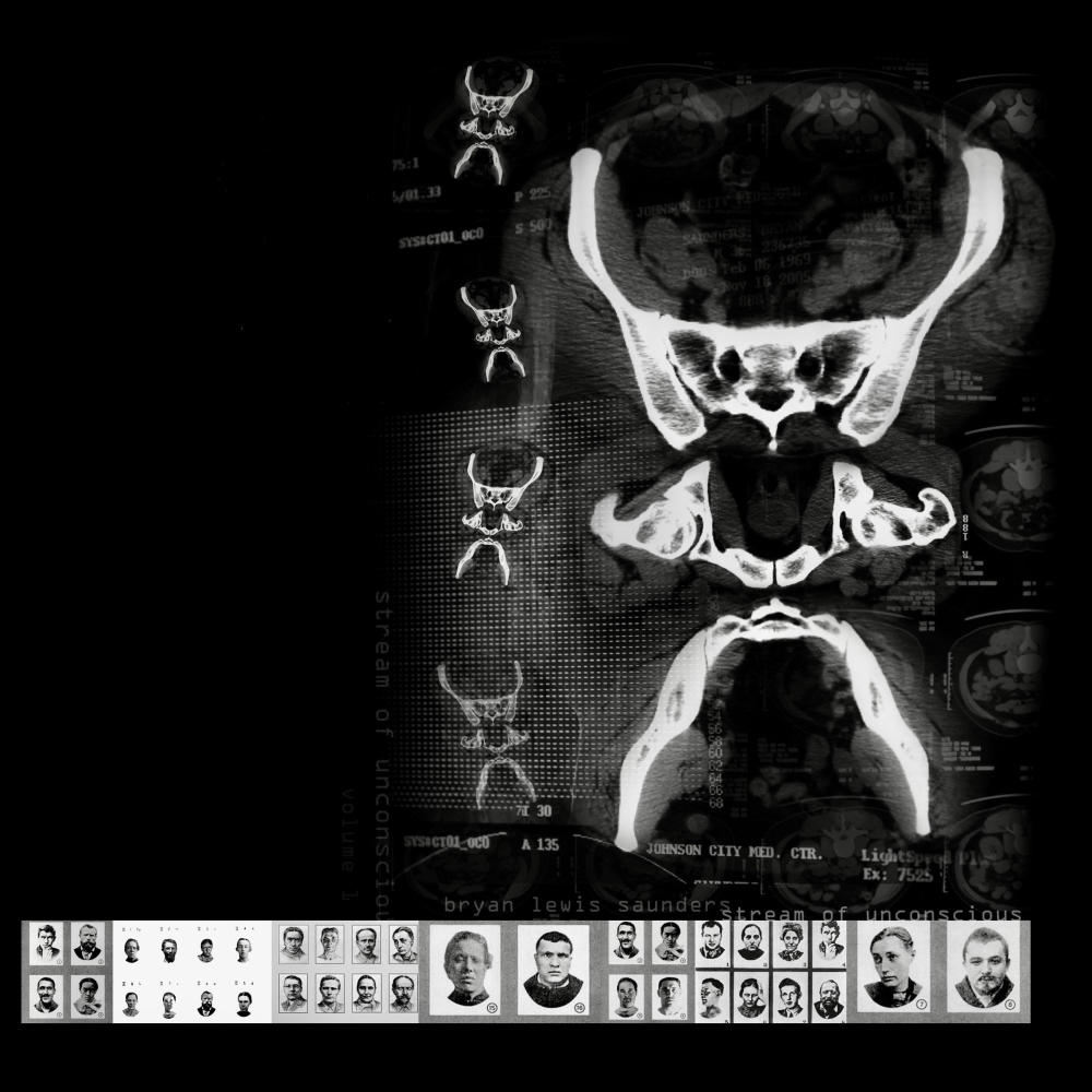 White/Flag/Flagpole (feat. Fantom Auditory Operations) (Explicit)