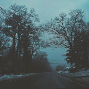 Album Snow from Seneca B