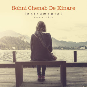 Anu Malik的專輯Sohni Chenab De Kinare (From "Sohni Mahiwal" / Instrumental Music Hits)