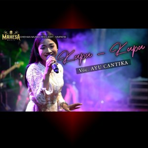 Dengarkan Kupu Kupu lagu dari Ayu Cantika dengan lirik