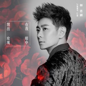 ดาวน์โหลดและฟังเพลง The Roses In My Eye พร้อมเนื้อเพลงจาก 林志颖