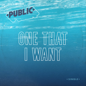 Album One That I Want from Public