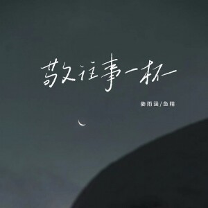 Album 敬往事一杯(柔情语录版) from 姜雨涵