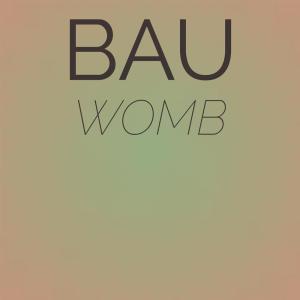 Album Bau Womb from Various