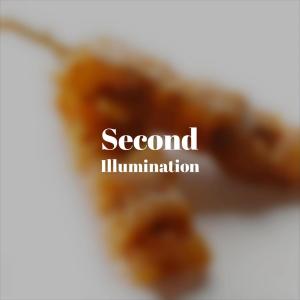 Listen to Lush Turd song with lyrics from Ahmet