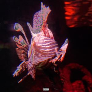 收聽BIGMEL的NO 1 ELSE (Explicit)歌詞歌曲