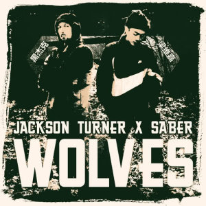 Listen to Wolves song with lyrics from Jackson Turner