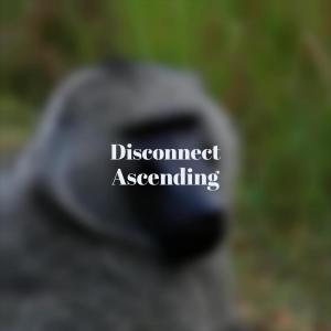 Various的专辑Disconnect Ascending