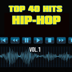 Top 40 Hip-Hop Hits的專輯40 Hip-Hop Hits Vol. 1