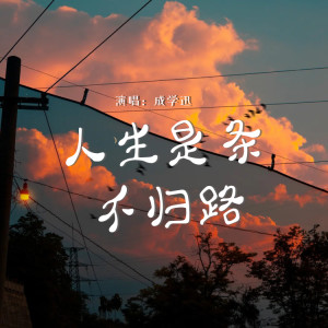 Album 人生是条不归路 from 成学迅