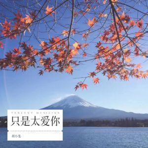 收听胡小斐的只是太爱你 (cover: 张敬轩) (完整版)歌词歌曲