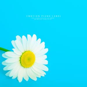 Listen to Leaving mind song with lyrics from Mono Piano