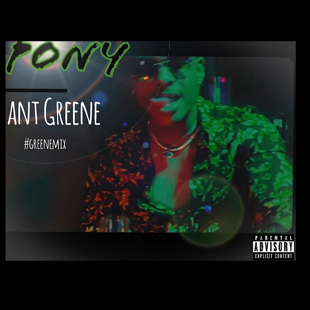 Pony (Greenemix|Explicit)