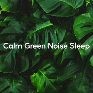 อัลบัม Calm Green Noise Sleep ศิลปิน 125 Nature Sounds