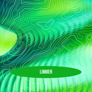 ดาวน์โหลดและฟังเพลง Limber พร้อมเนื้อเพลงจาก Bo Diddley
