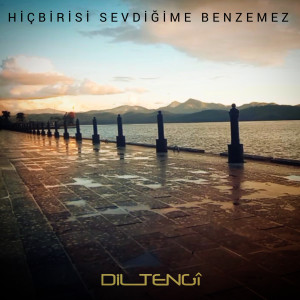 Album Hiçbirisi Sevdiğime Benzemez from 