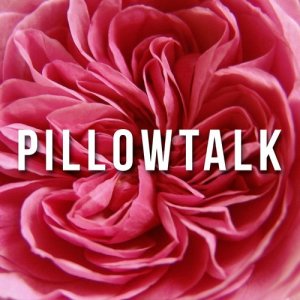 ดาวน์โหลดและฟังเพลง Pillowtalk พร้อมเนื้อเพลงจาก L'Orchestra Cinematique